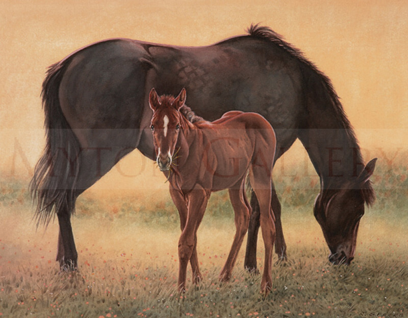 Mare and Foal at Dawn picture by equine artist Ron Spoors