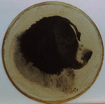 restoration dog painted on porcelain before 150 Myton Gallery