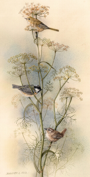 Jennifer Bell wildlife artist art print of birds at Myton Gallery