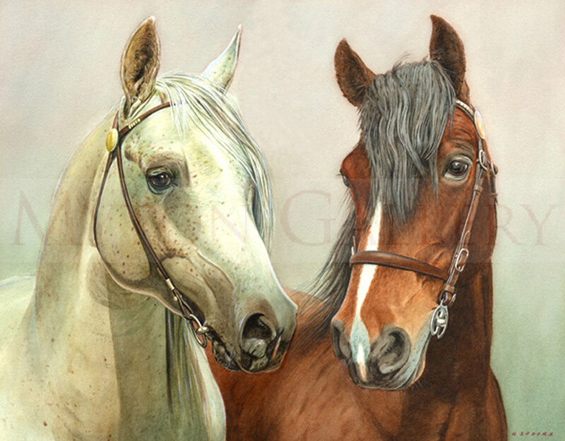 Two Horses Portrait picture by artist Ron Spoors