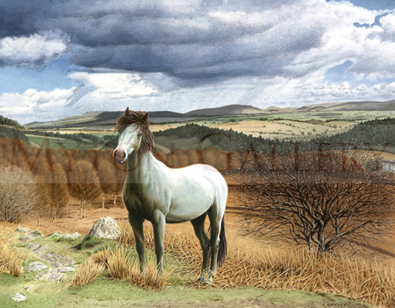 Horse in a Landscape picture by equine artist Ron Spoors